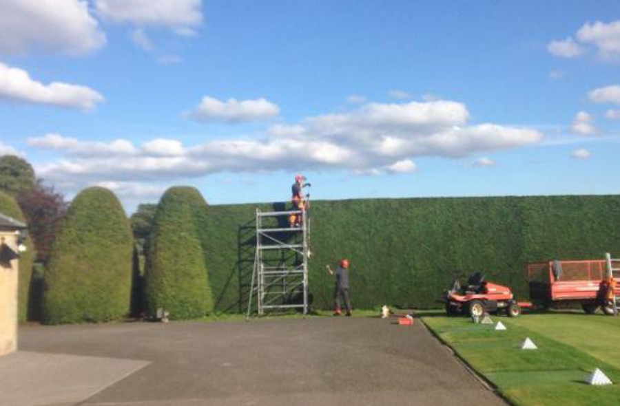 JCB Hi Lift Tracked Dumper Hire from RGP Arboritst & Hire Services